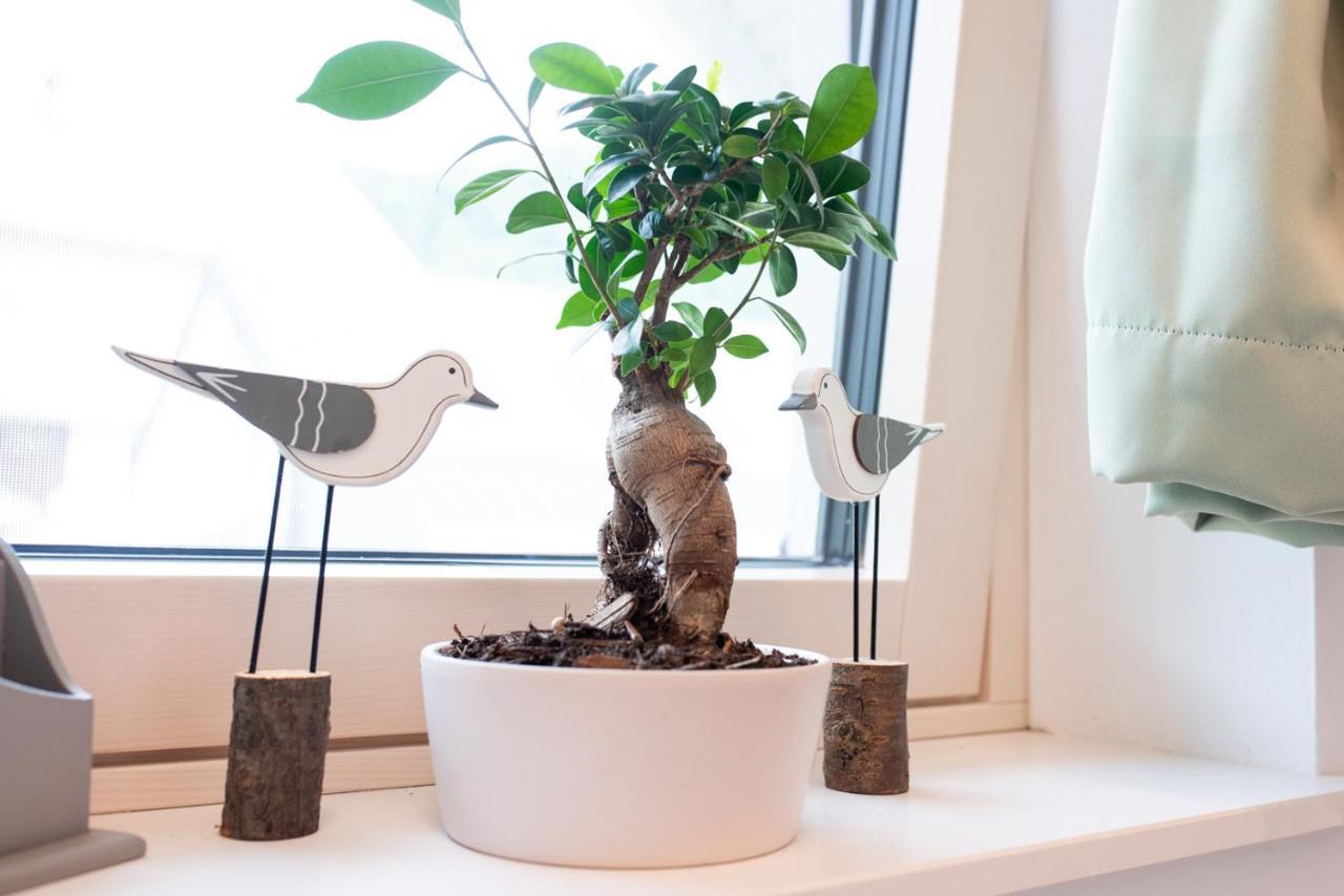 Apple Tree Apartment ブレッド エクステリア 写真